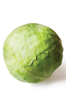 [DIG IMAGE] Isolated cabbage