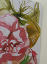 Wild flowers